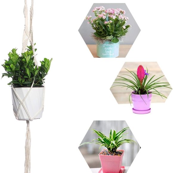 Bohemian Braided Plant Holder Hippie Outdoor/Indoor/Living Room/Dorm Decor - Picture 9 of 10